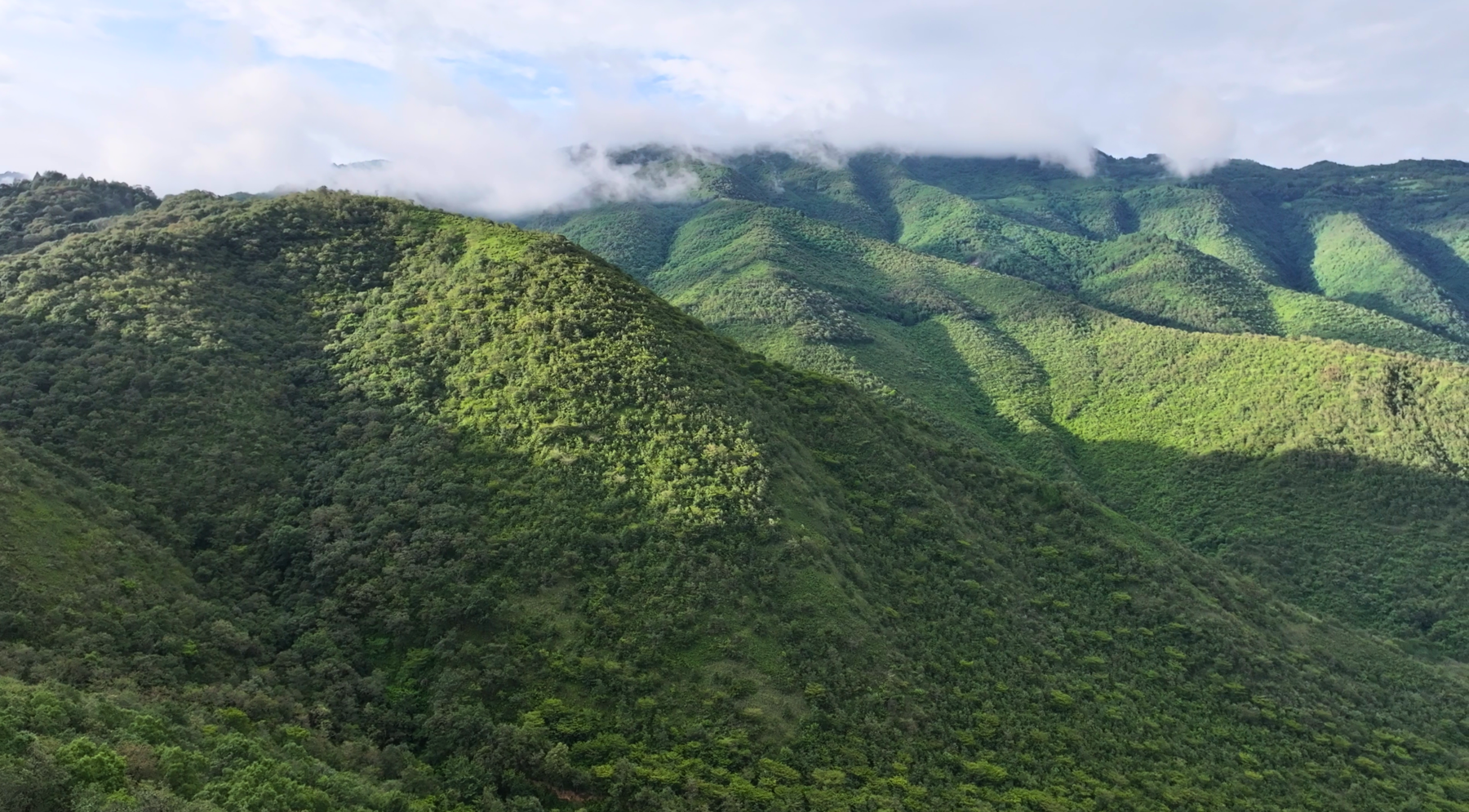 Central Veracruz mountains