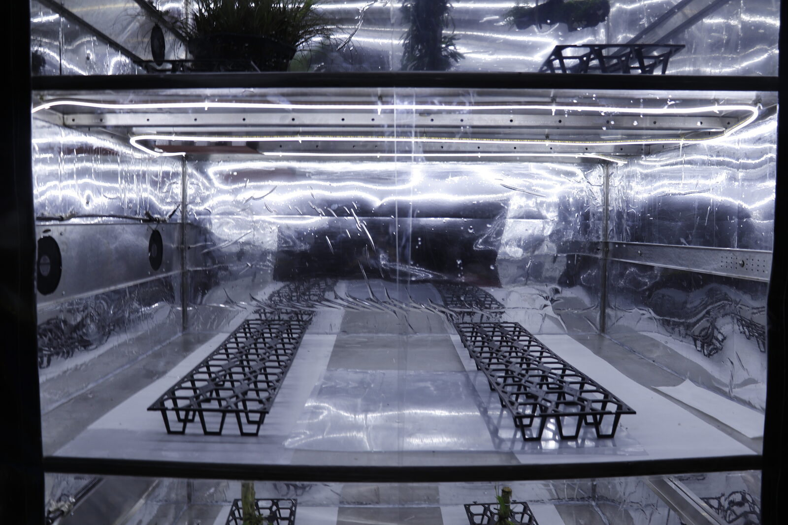 RAR Climate Replicator control electronics