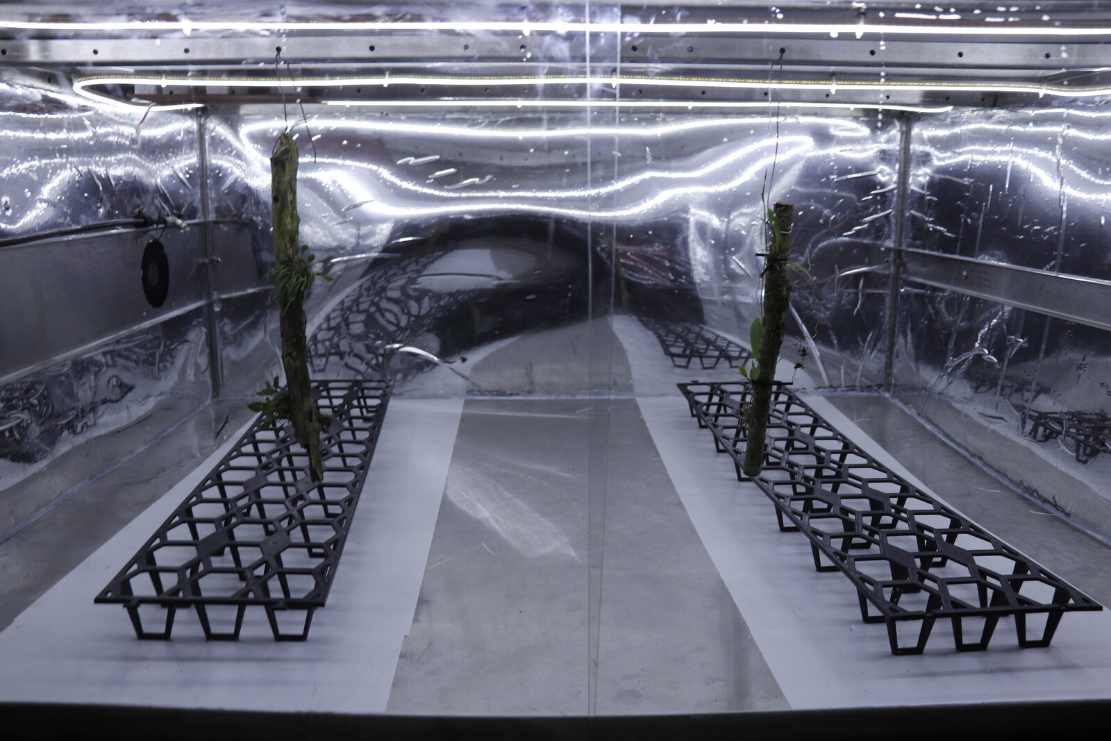 Interior of the RAR Climate Replicator chamber