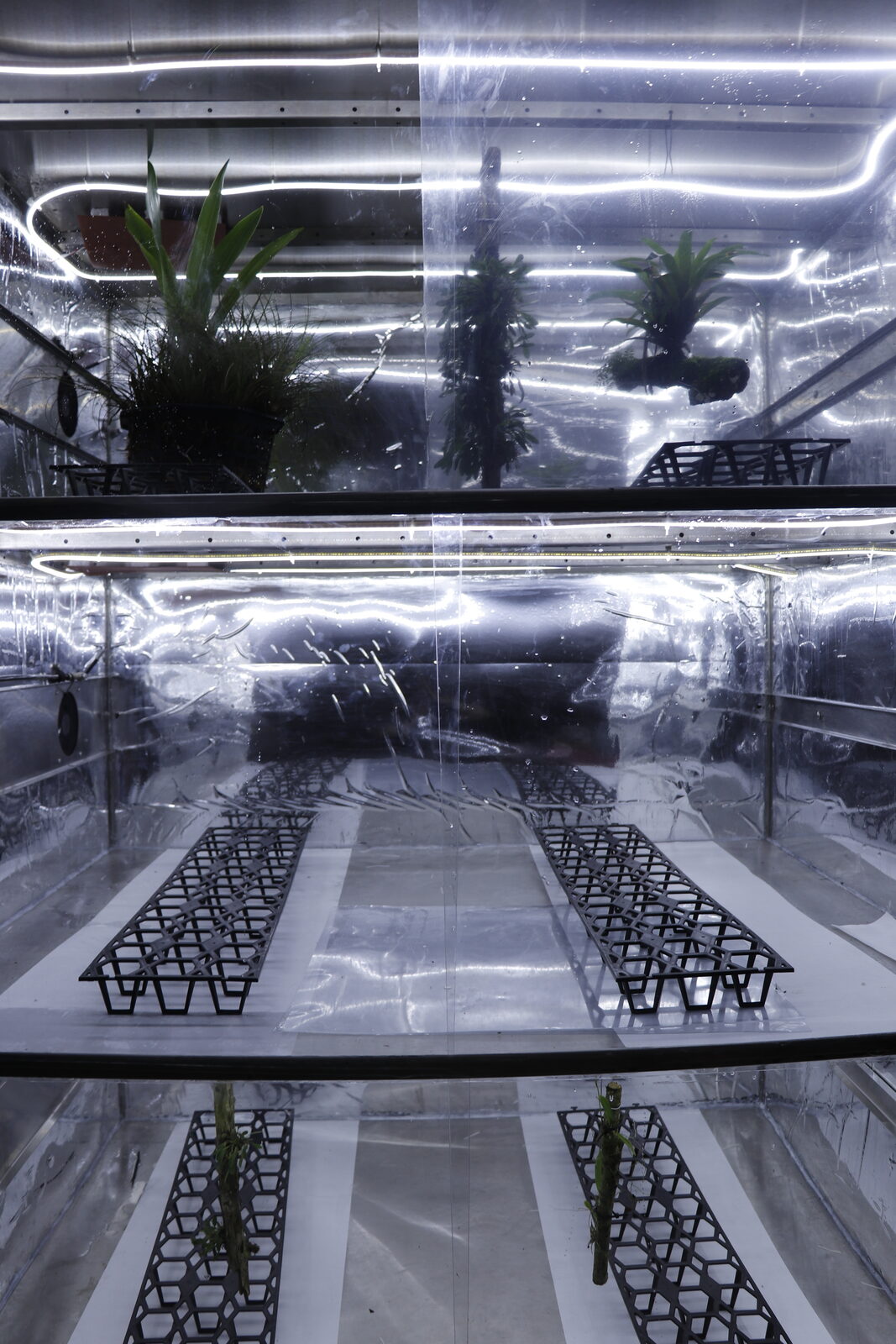 RAR Climate Replicator water-cycle module
