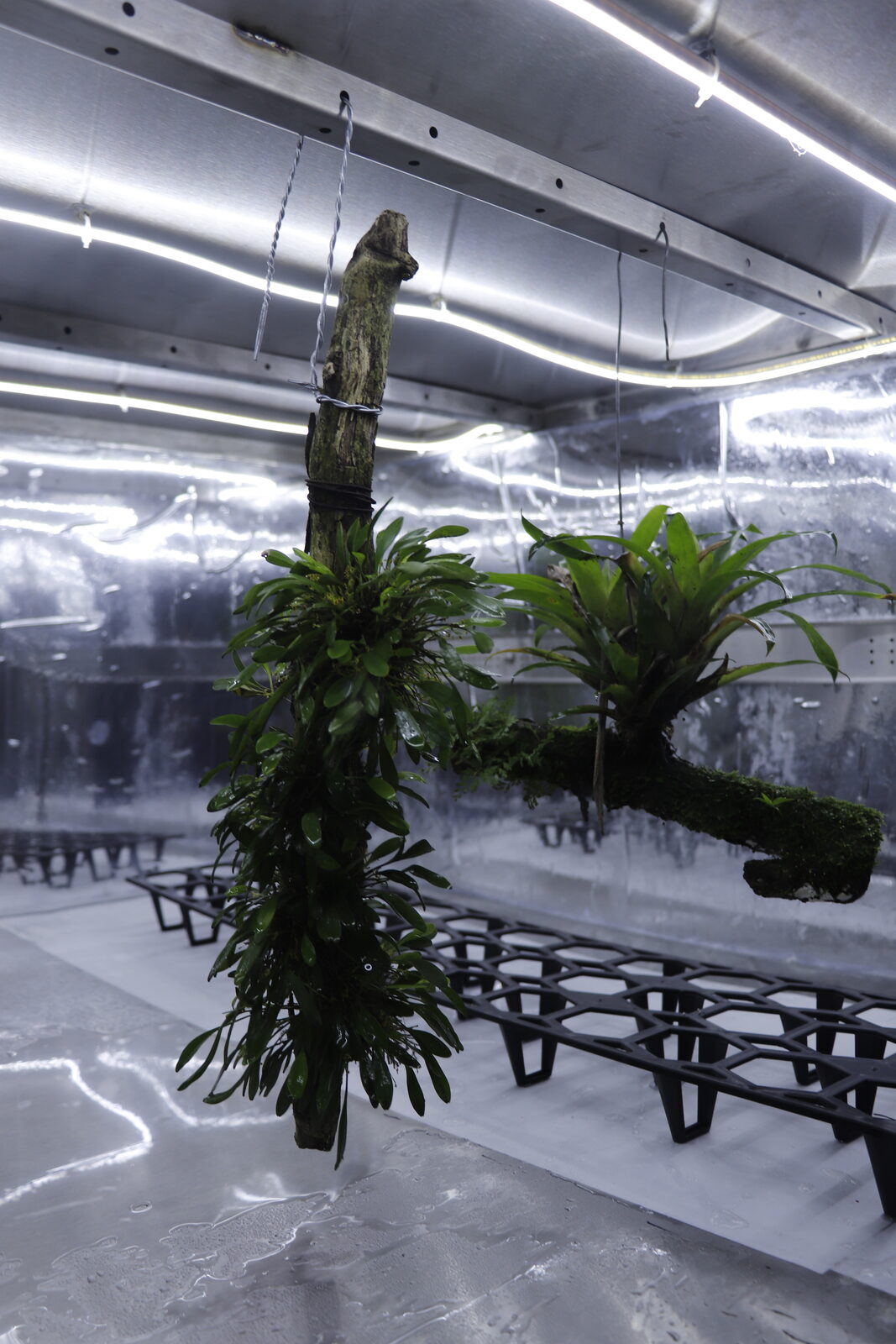 RAR Climate Replicator prototype chamber