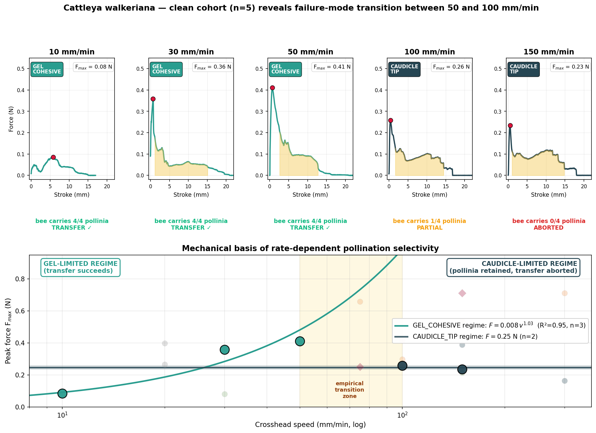 Clean cohort of five trials showing the failure-mode transition between 50 and 100 mm per minute