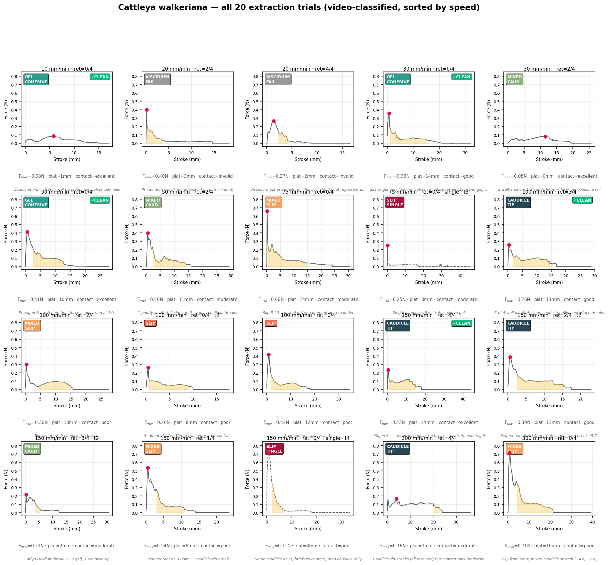 Force-stroke traces for all twenty Cattleya walkeriana extraction trials, sorted by speed and video-classified
