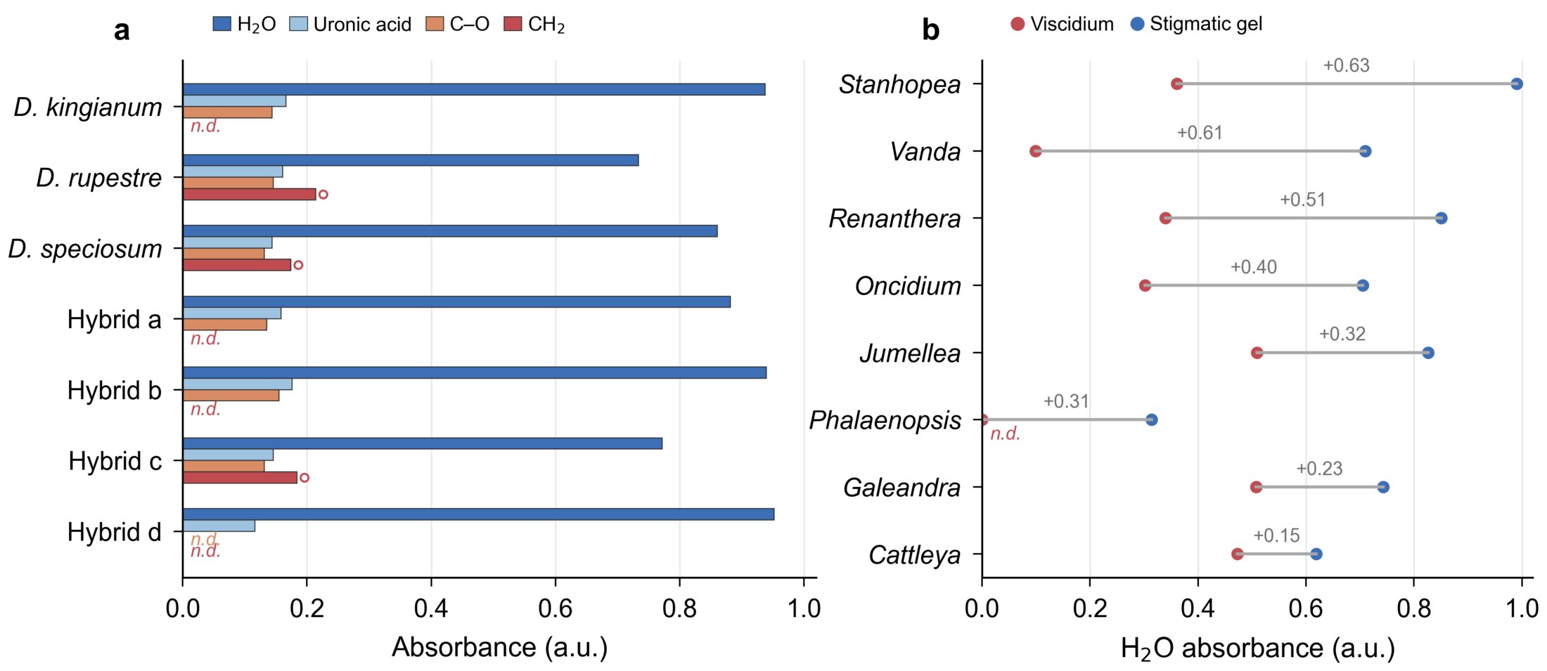 Viscidium and stigma hydration comparison