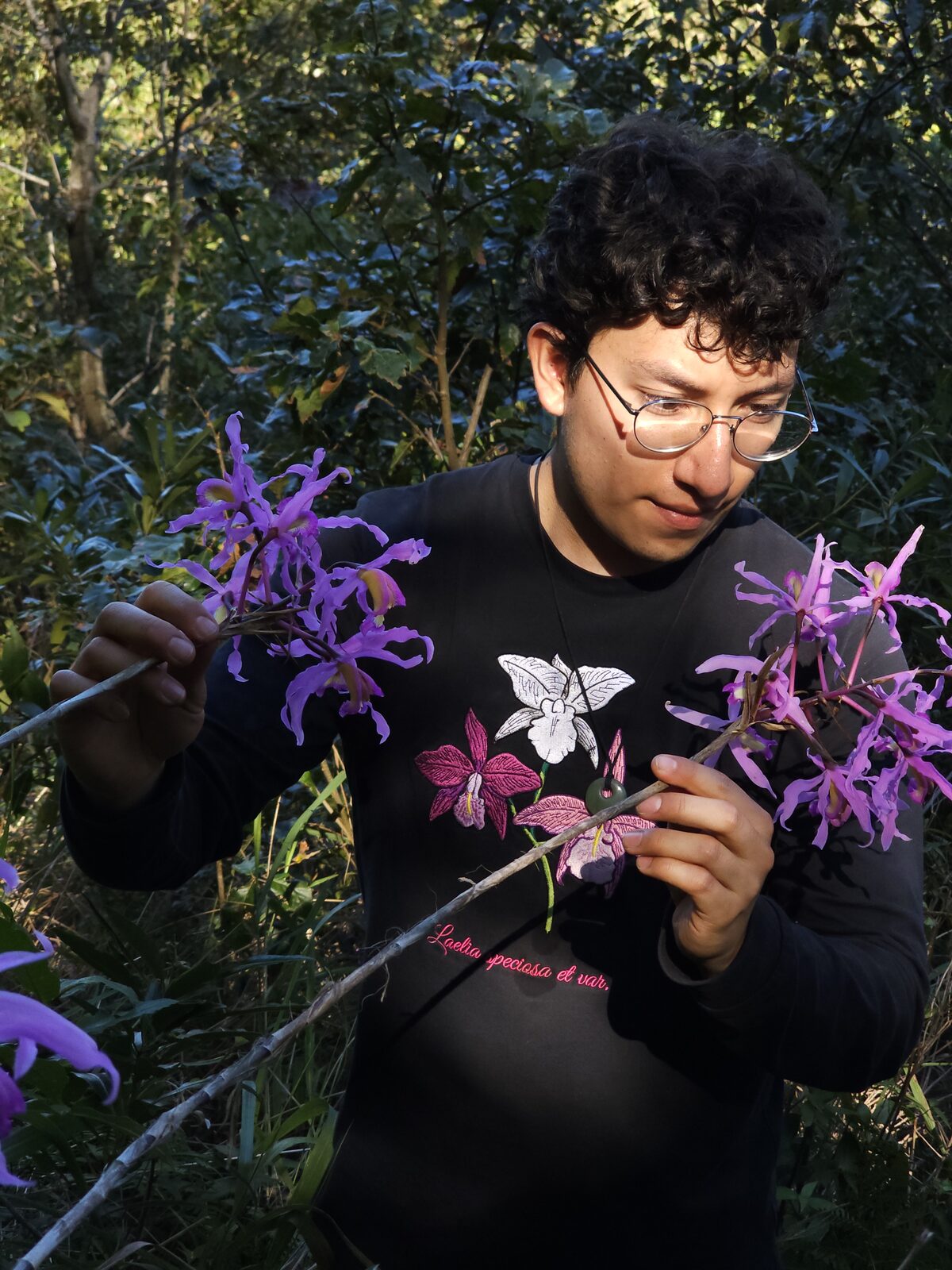 Andrés Ramos in the field with Laelia halbingeriana