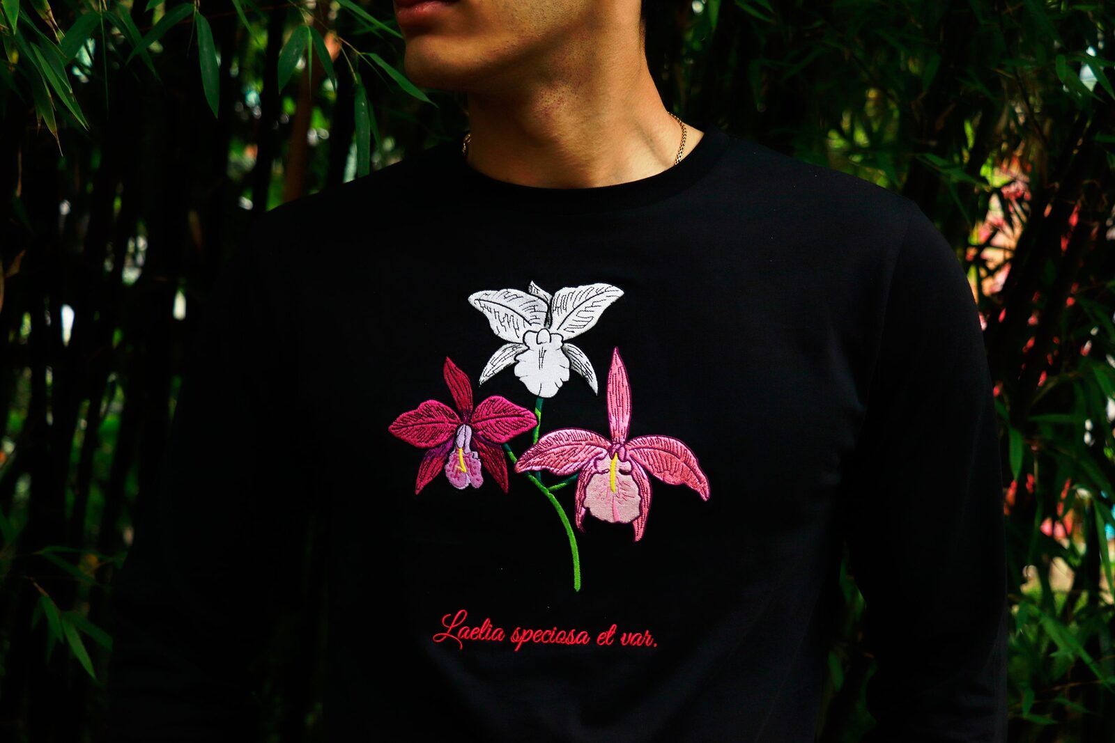 The Laelia collection