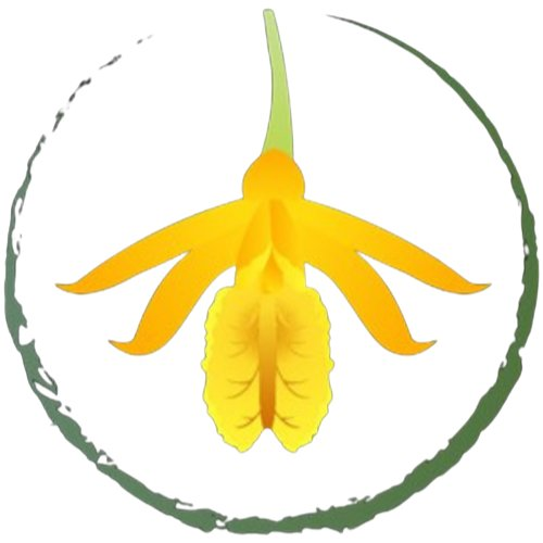 Orchidarc