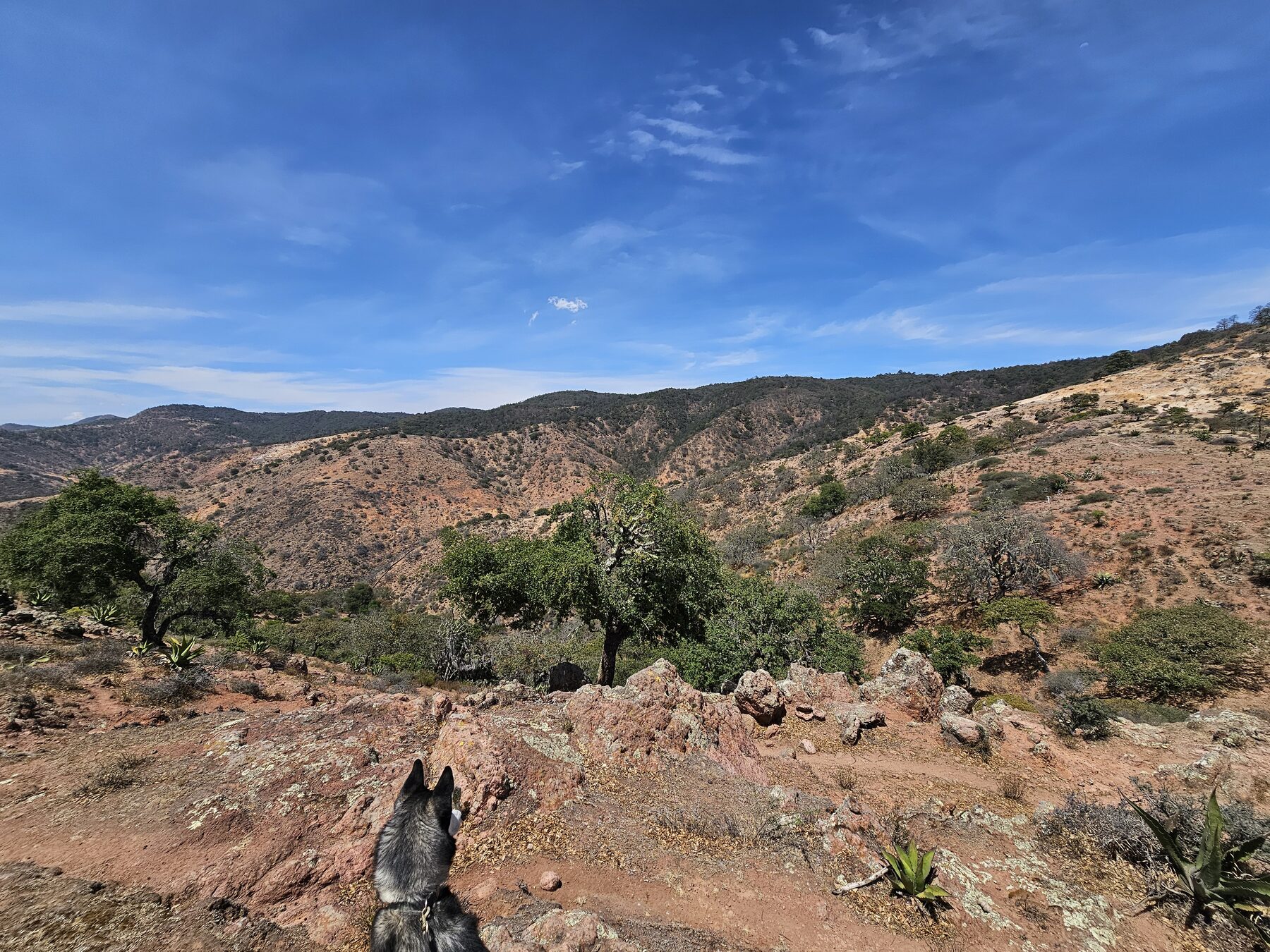 Guanajuato dry landscape