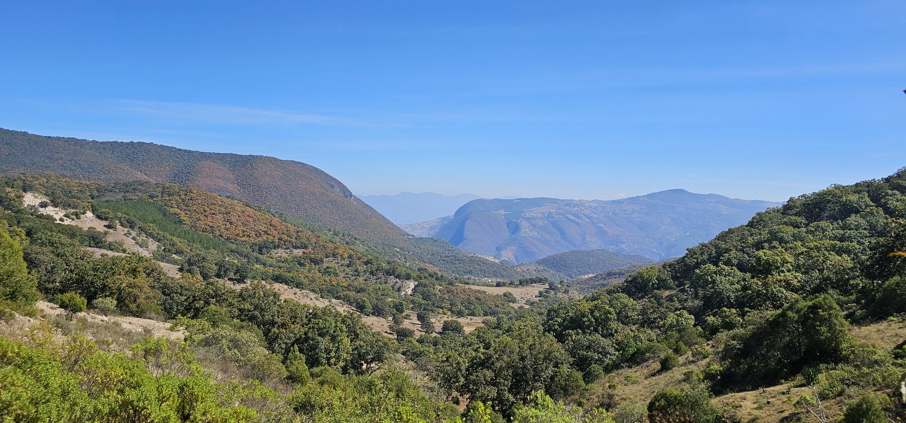 Oaxaca mountain landscape