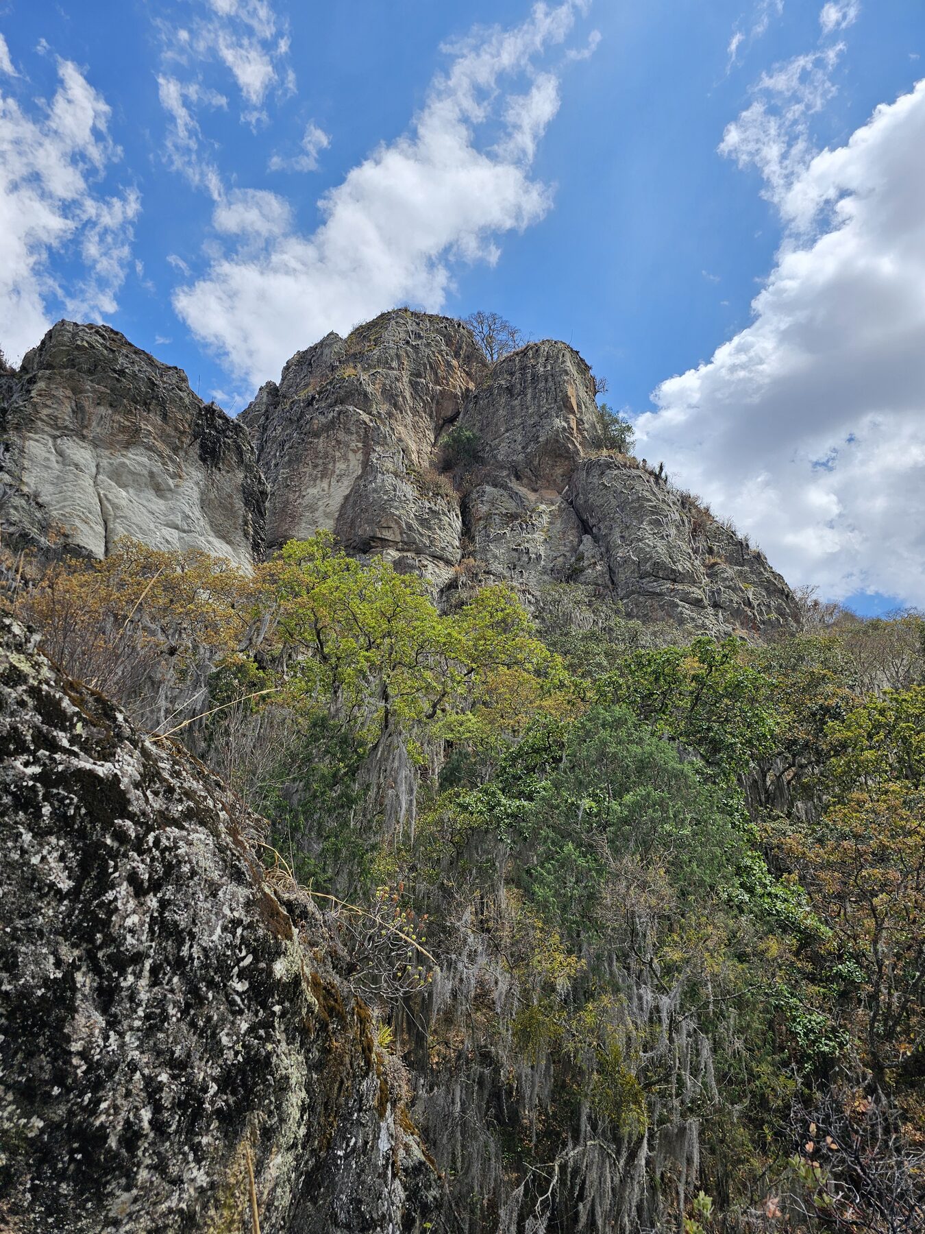 Oaxaca monolith landscape
