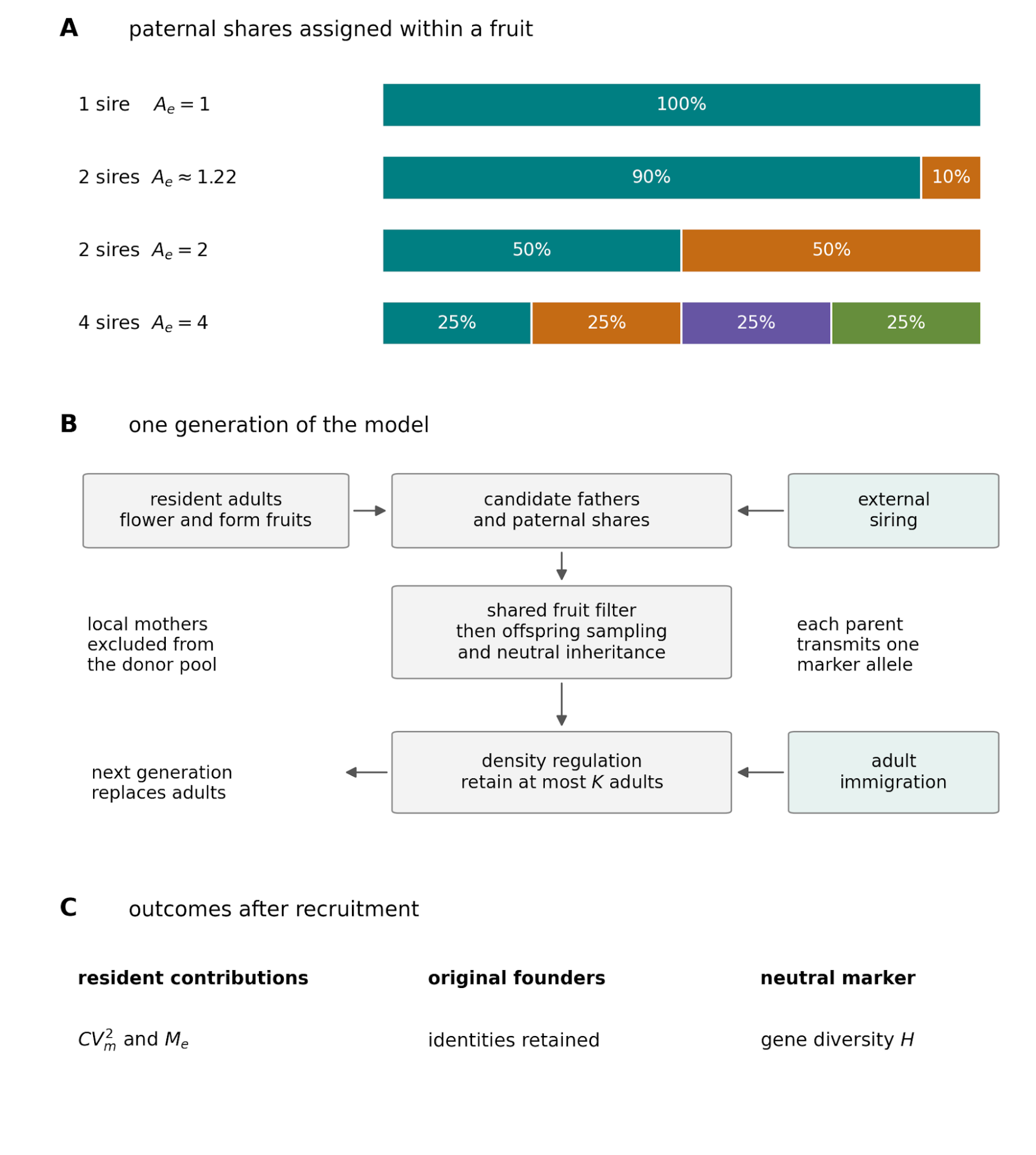 Model scope showing paternal shares within fruits, recruitment, external siring, immigration and population-level outcomes