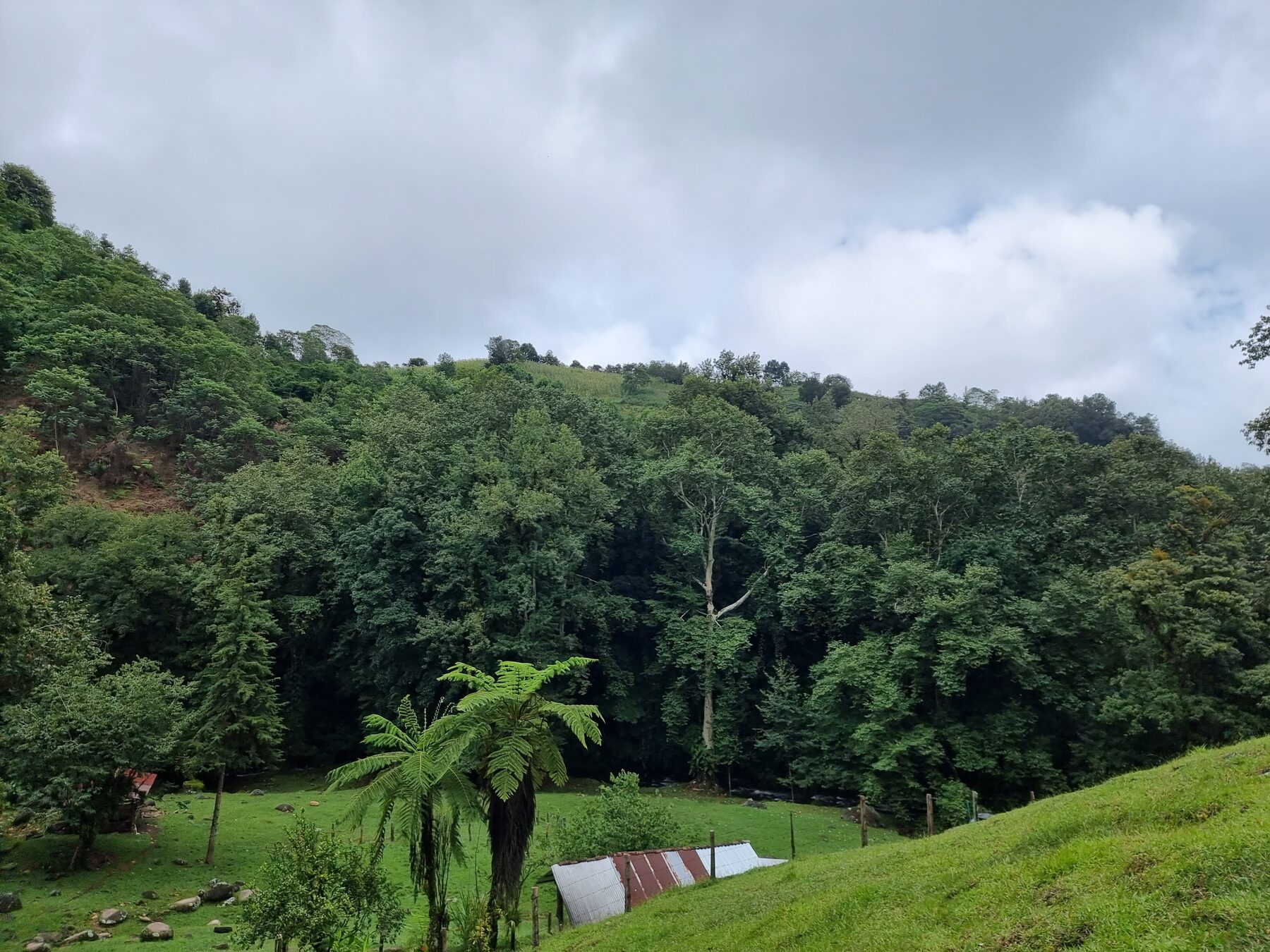 Orchidarc Reserve, Ixhuacán de los Reyes, Veracruz