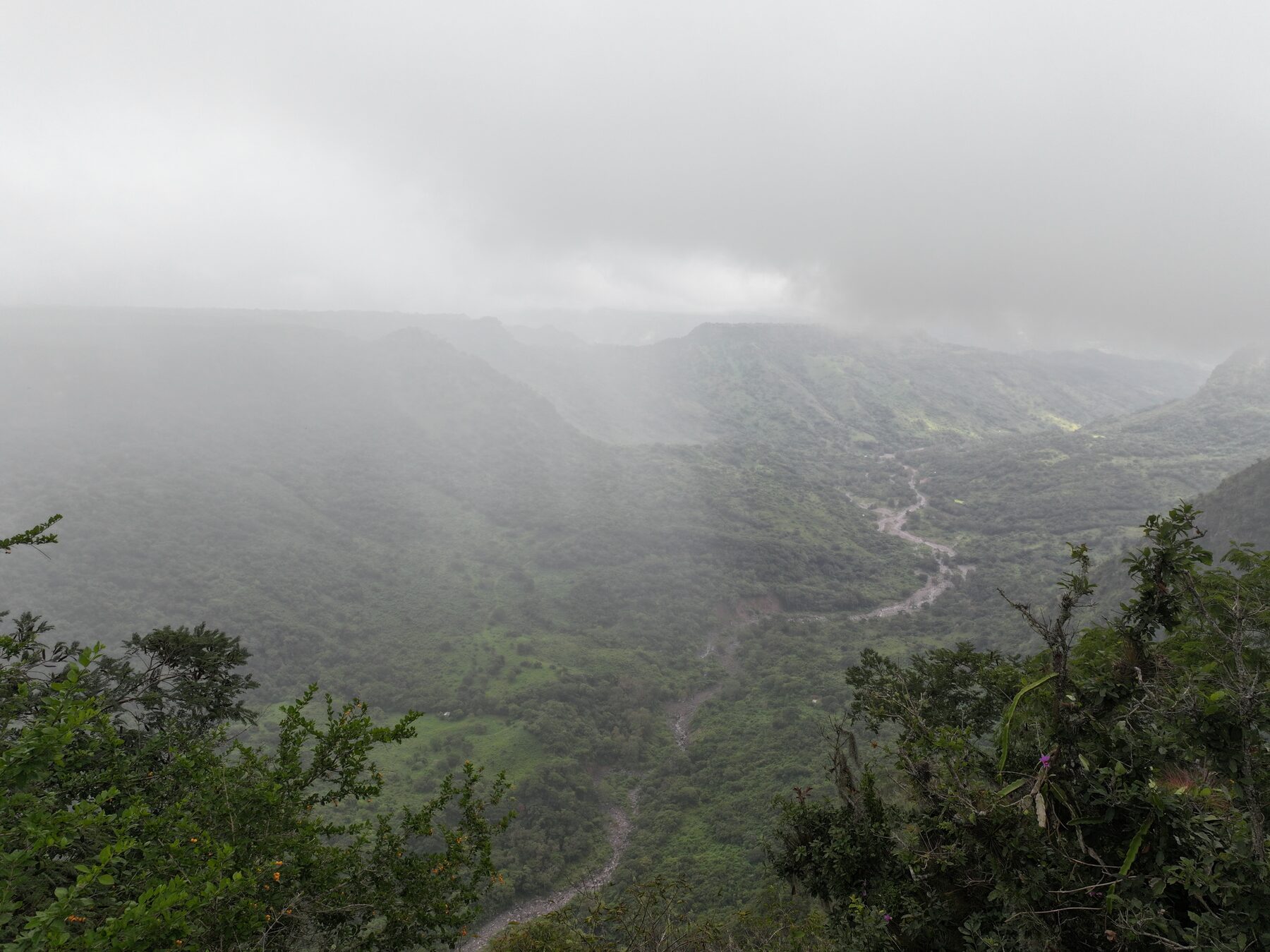 Veracruz landscape surrounding the Orchidarc Reserve