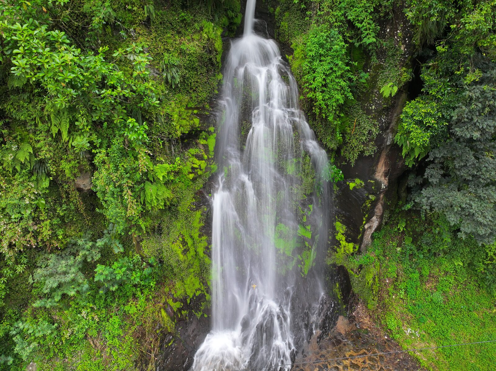 Cloud forest waterfall